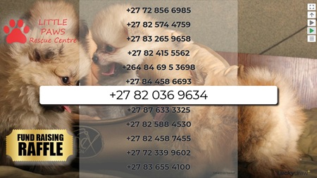 Lucky Draw Plus - customise and host your own live Lucky Draw online - dog rescue centre charity fundraising raffle example